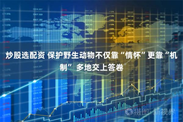 炒股选配资 保护野生动物不仅靠“情怀”更靠“机制” 多地交上答卷