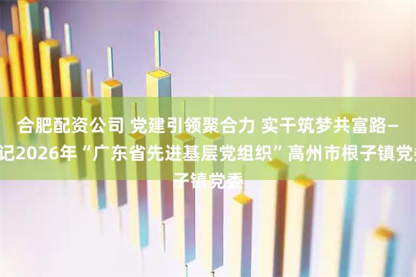 合肥配资公司 党建引领聚合力 实干筑梦共富路——记2026年“广东省先进基层党组织”高州市根子镇党委